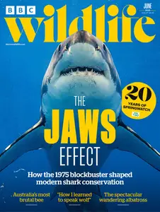 BBC Wildlife - June 2025