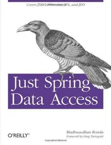 Just Spring Data Access (Repost)