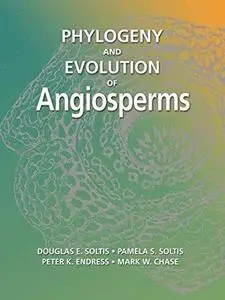 Phylogeny & Evolution of Angiosperms