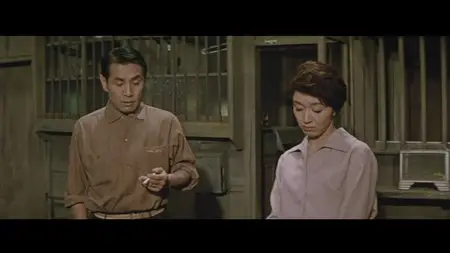 Daughters, Wives, Mother (1960)