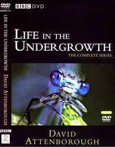 Life in the Undergrowth / Жизнь в микромире (2005) [ReUp]