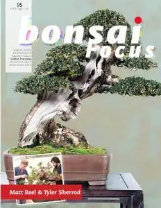 Bonsai Focus - Septembre-Octobre 2017 (French Edition)