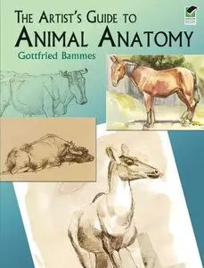The Artist's Guide to Animal Anatomy (repost)