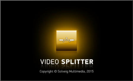 SolveigMM Video Splitter 5.2.1512.14 Business Edition + Portable