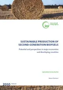 "Sustainable Production of Second-Generation Biofuels" by Anselm Eisentraut
