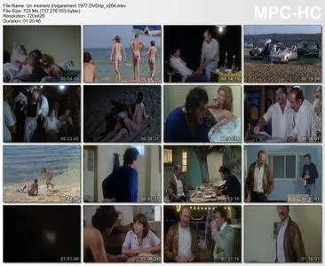 Un moment d'égarement (1977)