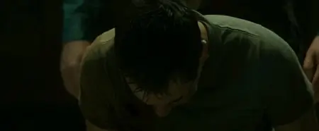 The Devil's in the Details (2013)