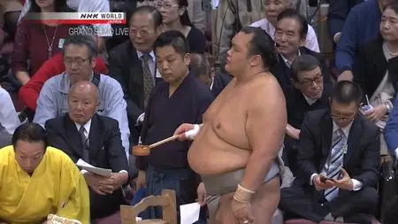 NHK - Grand Sumo Live: November (2018)