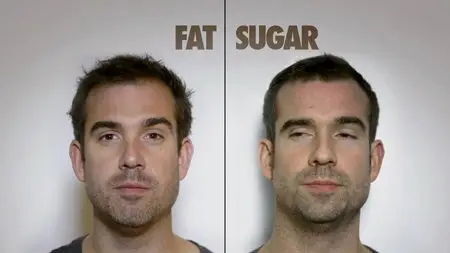 Horizon: Sugar vs. Fat (2014)
