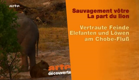 (Arte) Sauvagement Vôtre - 4 volets (2010)
