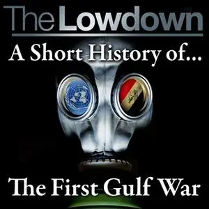 «The Lowdown: A Short History of The First Gulf War» by Robert Johnson