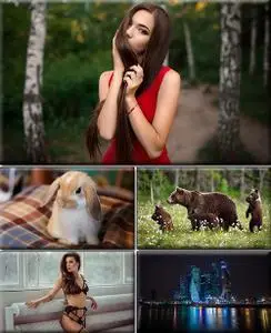 Computer Desktop Wallpapers Collection. Part (2066)