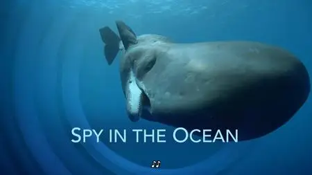 PBS Nature - Spy in the Ocean: Deep Feelings (2023)