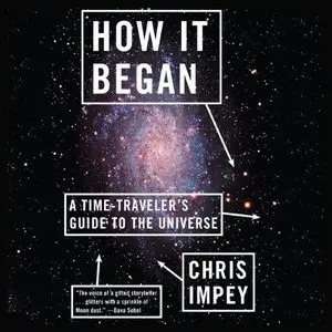 How It Began: A Time-Traveler's Guide to the Universe  (Audiobook)
