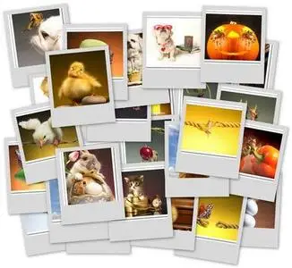 Creative Photos by Bob Garas 