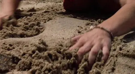 Sharktopus (2010) 