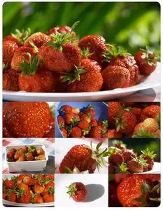 Strawberry 