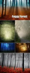 Stock Photo - Foggy Forest