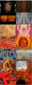 CoSM the Movie: Alex Grey & the Chapel of Sacred Mirrors (2006)