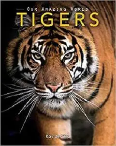 Tigers: Amazing Pictures & Fun Facts on Animals in Nature