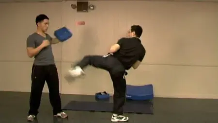 Elastic Steel - Everything You Ever Wanted To Know Roundhouse Kick [repost]