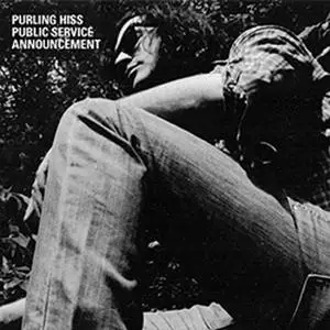 Purling Hiss: Discography (2009-2016)