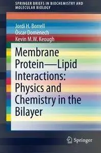 Membrane Protein - Lipid Interactions: Physics and Chemistry in the Bilayer