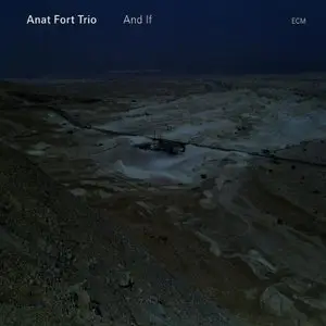 Anat Fort Trio - And If (2010) [FLAC]