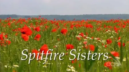 Fact Not Fiction Films - Spitfire Sisters (2010)