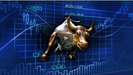 Udemy – Forex Trading using professional indicators by TOP traders