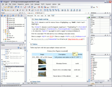 Oxygen XML Editor 10.2