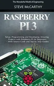 Raspberry Pi: Setup, Programming and Developing Amazing Projects with Raspberry Pi for Beginners