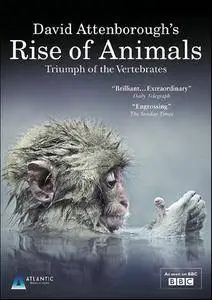 BBC - Rise of Animals: Triumph of the Vertebrates (2013)