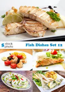 Photos - Fish Dishes Set 12