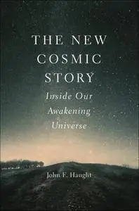 New Cosmic Story: Inside Our Awakening Universe