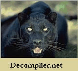 Decompiler NET 2005 ver. 2.0.0.11340