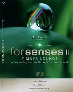Forsenses II. Timber Lounge (2011)
