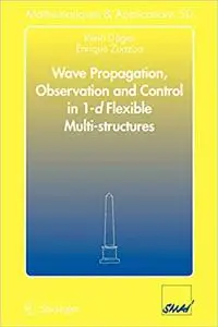 Wave Propagation, Observation and Control in 1-d Flexible Multi-Structures