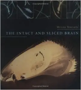 The Intact and Sliced Brain (Bradford Books) by Mircea Steriade