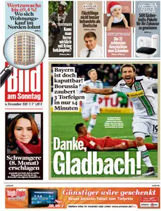 Bild Zeitung vom 06 Dezember 2015