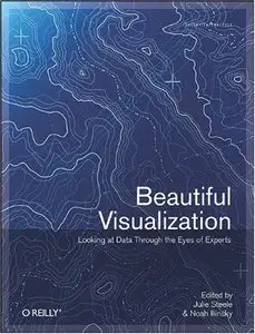 Beautiful Visualization: Looking at Data through the Eyes of Experts by Julie Steele [Repost]