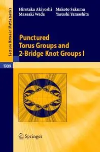 Punctured Torus Groups and 2-Bridge Knot Groups (I) (Repost)