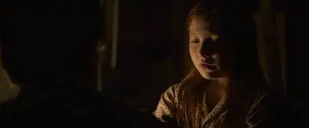 The Glass Castle (2017)