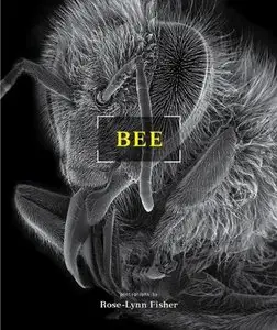 Bee  By Rose-Lynn Fisher, Verlyn Klinkenborg