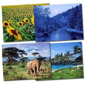 Pictures 2007 - Set 4