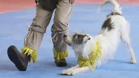 Beginning Dog Dance For Fun Or Sport