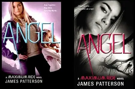 Maximum Ride 07 - Angel