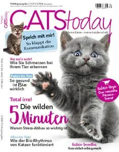 Cats Today – Februar 2020