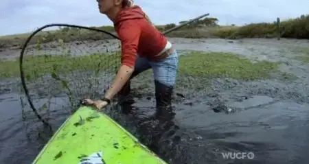 PBS - Nature: Saving Otter 501 (2013)