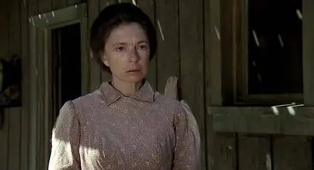 The Great Northfield Minnesota Raid (1972)